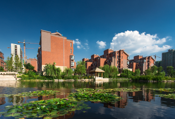 高效天然植物液原料